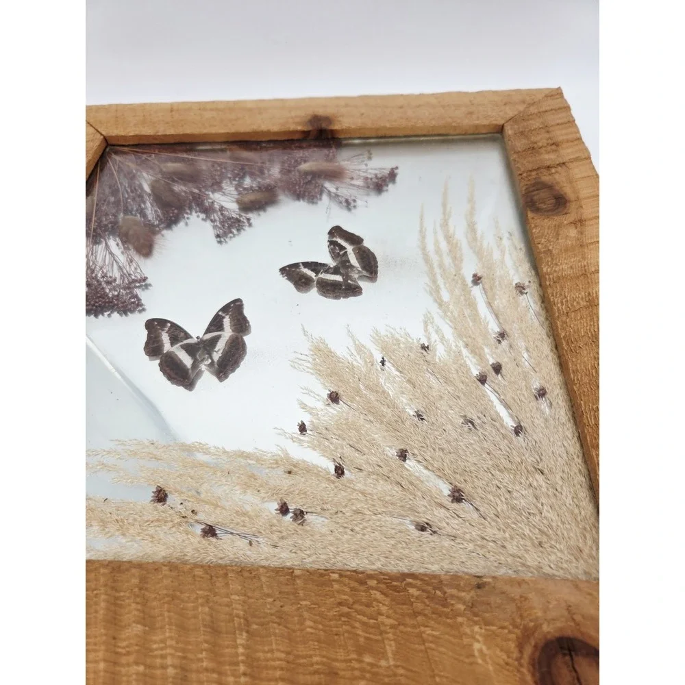 Vintage Taxidermy‎ Mirror 15x15 Real Butterfly Brown Grass Wheat Dried Flowers